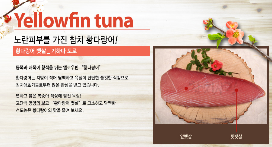 [특가상품]황다랑어 뱃살(1-3피스) 700g 내외(단품 구매 불가)